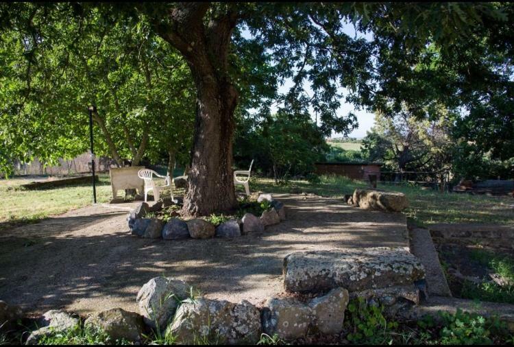 favoloso appartamento in villa Monterosi Esterno foto