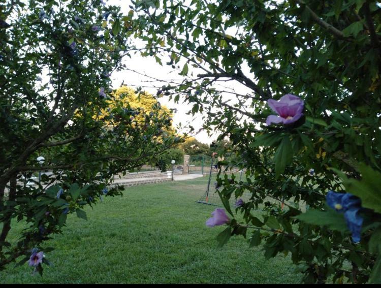 favoloso appartamento in villa Monterosi Esterno foto