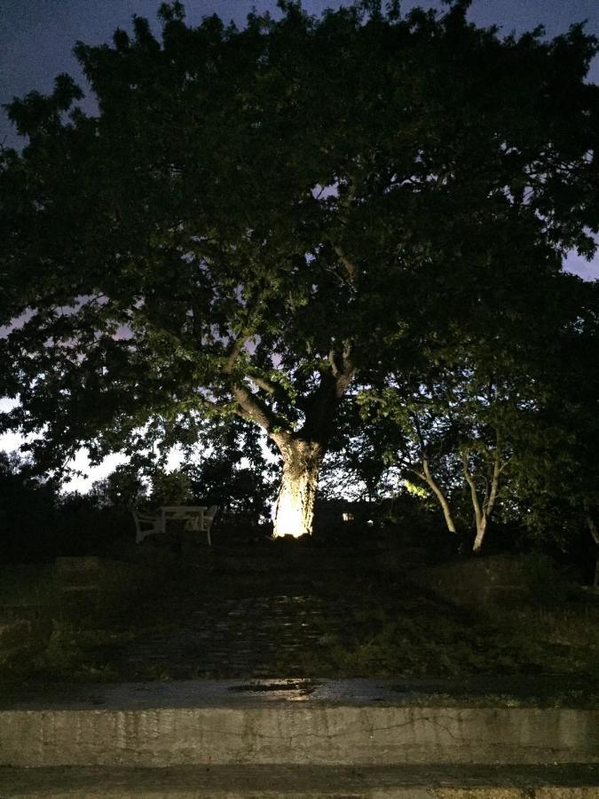 favoloso appartamento in villa Monterosi Esterno foto