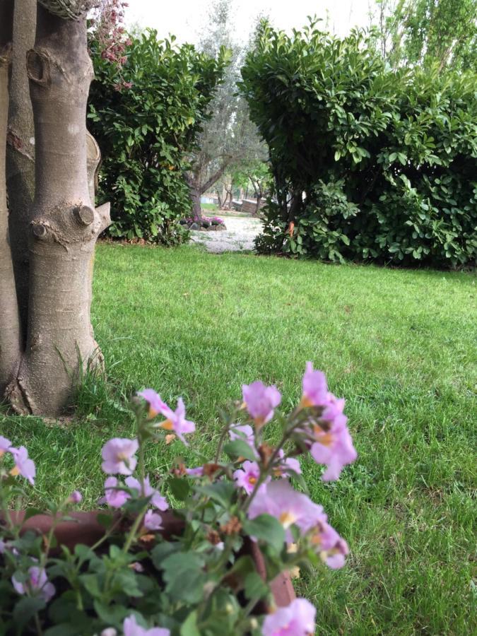 favoloso appartamento in villa Monterosi Esterno foto