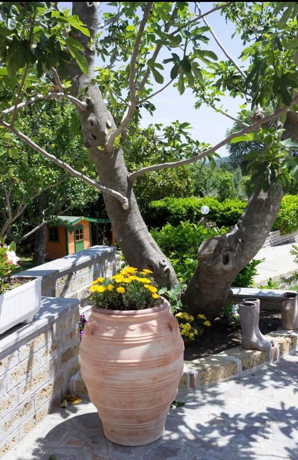 favoloso appartamento in villa Monterosi Esterno foto